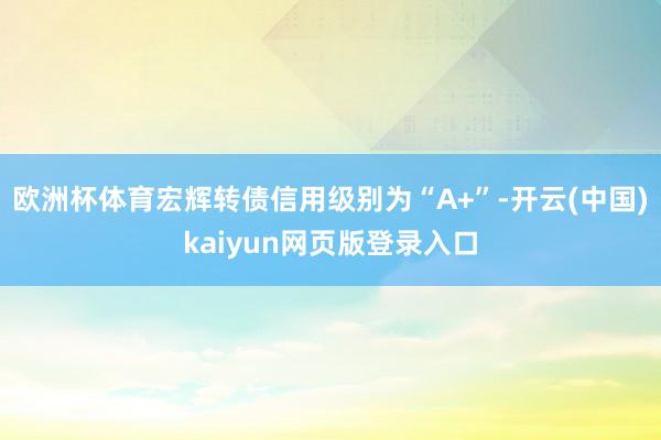 欧洲杯体育宏辉转债信用级别为“A+”-开云(中国)kaiyun网页版登录入口