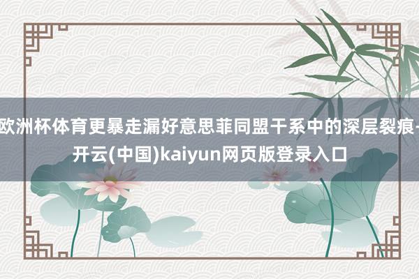 欧洲杯体育更暴走漏好意思菲同盟干系中的深层裂痕-开云(中国)kaiyun网页版登录入口